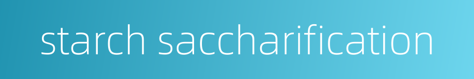 starch saccharification的同义词