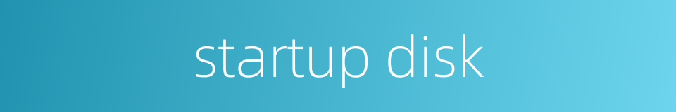 startup disk的同义词