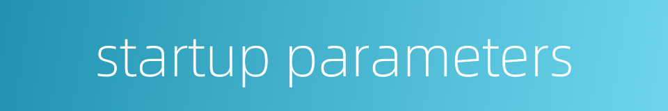 startup parameters的同义词