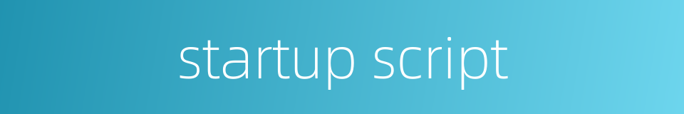 startup script的同义词