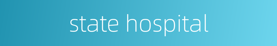 state hospital的同义词