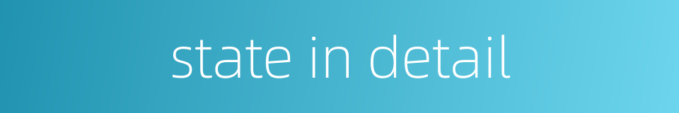 state in detail的同义词