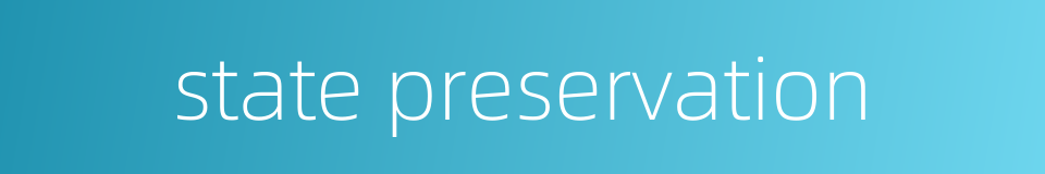 state preservation的同义词