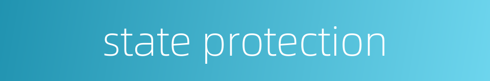 state protection的同义词