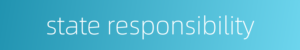 state responsibility的同义词