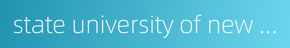 state university of new york at stony brook的同义词