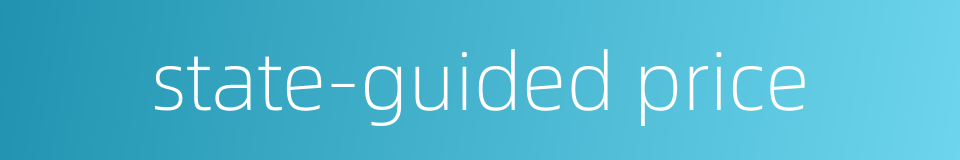 state-guided price的同义词