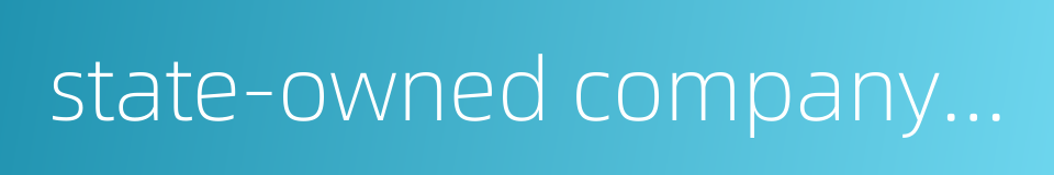 state-owned company restructure的同义词