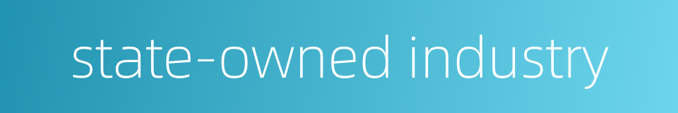 state-owned industry的同义词