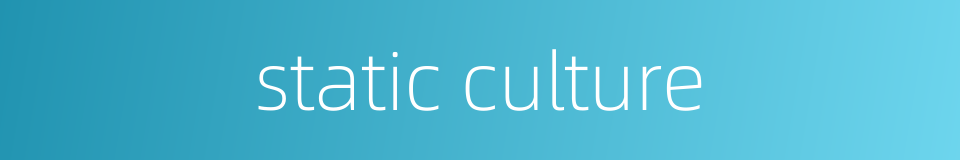 static culture的同义词