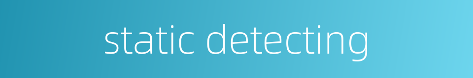 static detecting的同义词