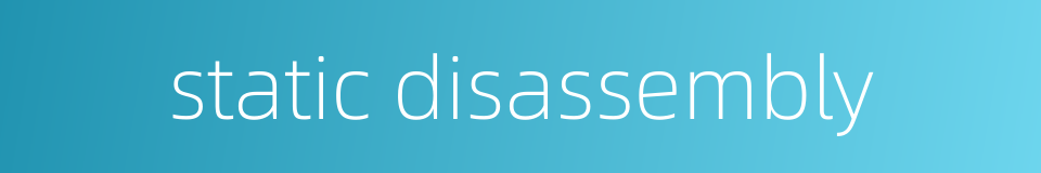 static disassembly的同义词