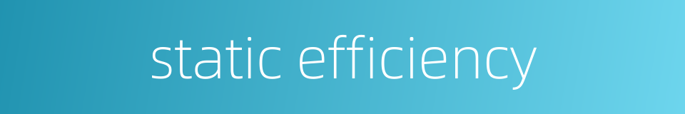 static efficiency的同义词