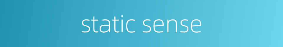 static sense的同义词