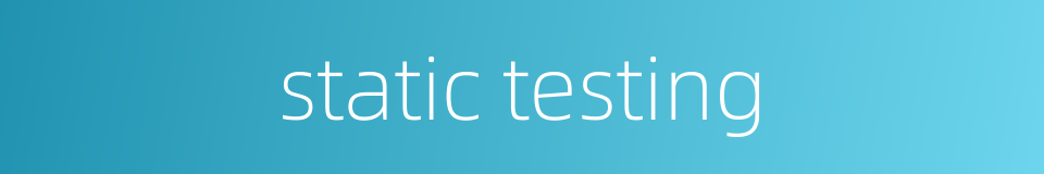 static testing的同义词