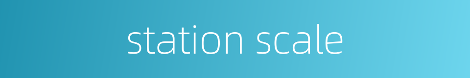 station scale的同义词
