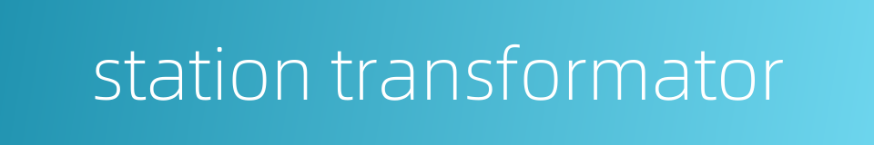 station transformator的同义词