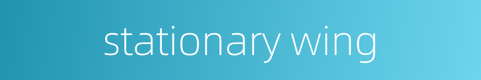 stationary wing的同义词
