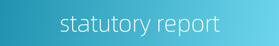 statutory report的同义词