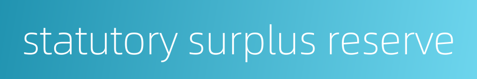 statutory surplus reserve的同义词