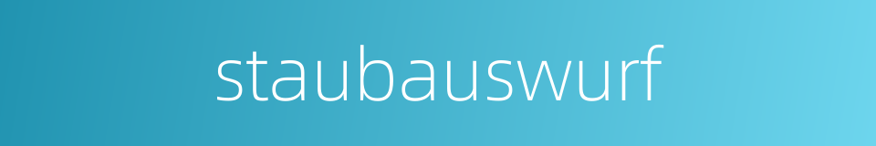 staubauswurf的同义词