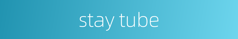 stay tube的同义词