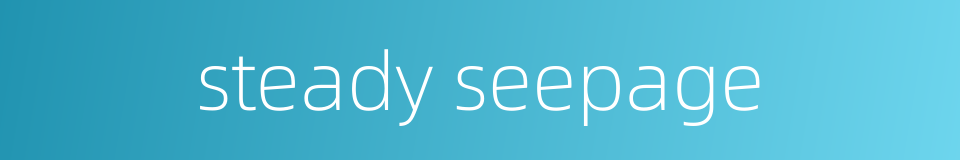 steady seepage的同义词