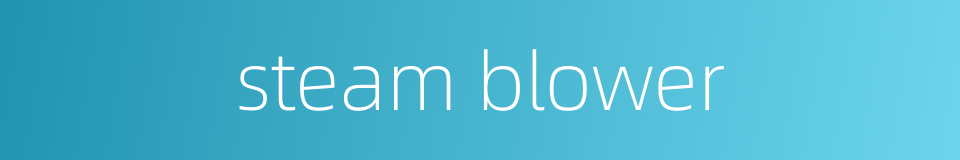 steam blower的同义词