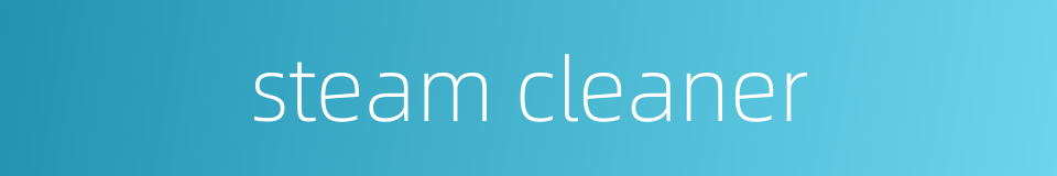 steam cleaner的同义词