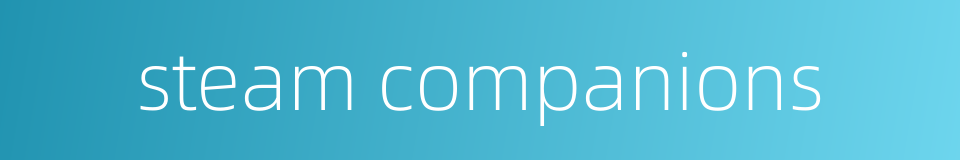 steam companions的同义词