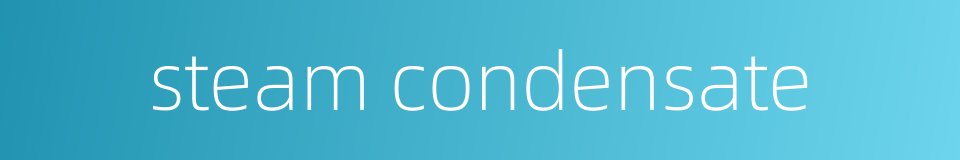 steam condensate的同义词