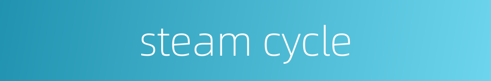 steam cycle的同义词