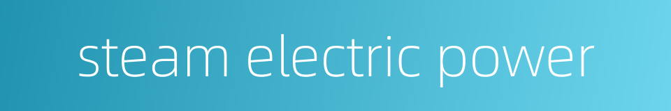 steam electric power的同义词