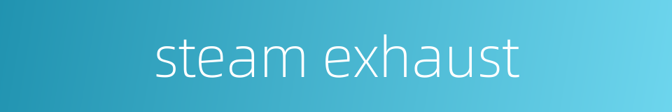 steam exhaust的同义词