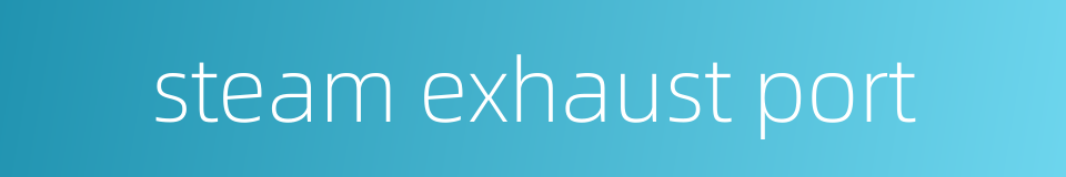 steam exhaust port的同义词