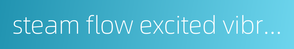 steam flow excited vibration的同义词