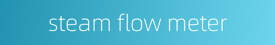 steam flow meter的同义词