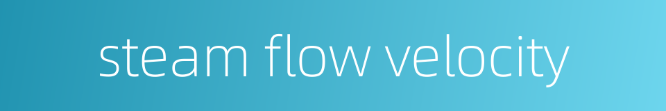 steam flow velocity的同义词