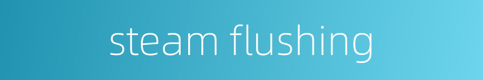 steam flushing的同义词