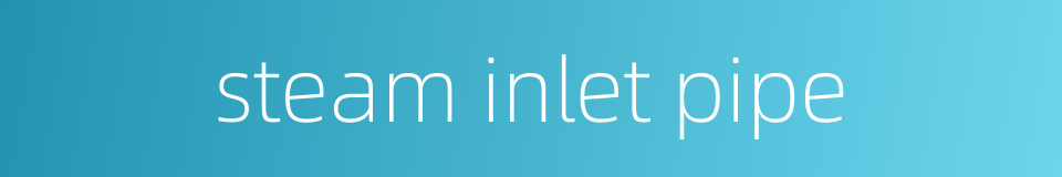 steam inlet pipe的同义词