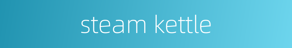 steam kettle的同义词