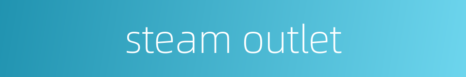 steam outlet的同义词