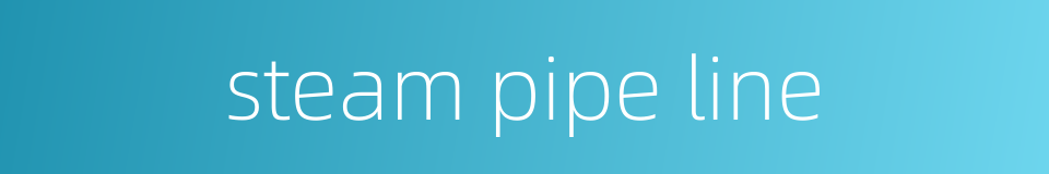 steam pipe line的同义词