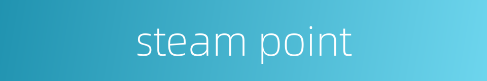 steam point的同义词