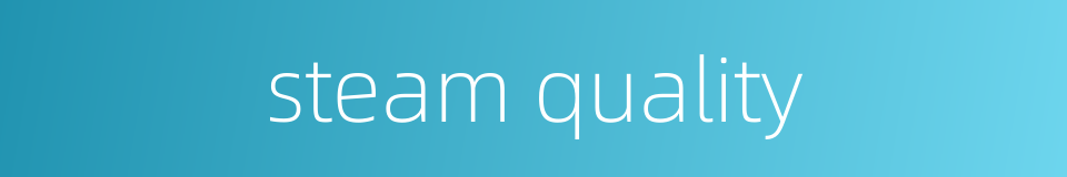 steam quality的同义词