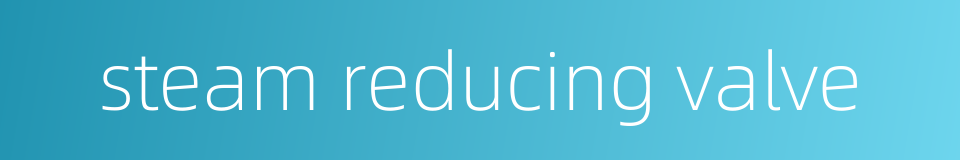 steam reducing valve的同义词