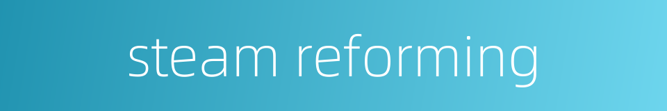 steam reforming的同义词