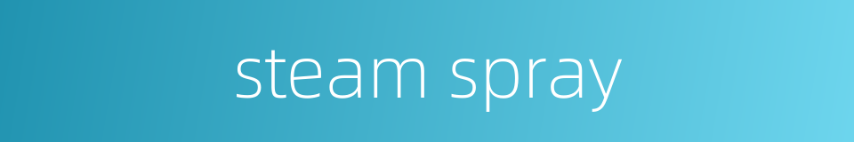 steam spray的同义词