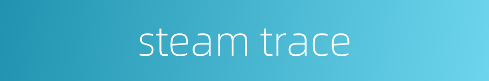 steam trace的同义词