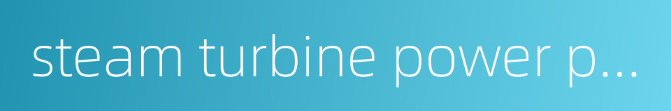 steam turbine power plant的同义词